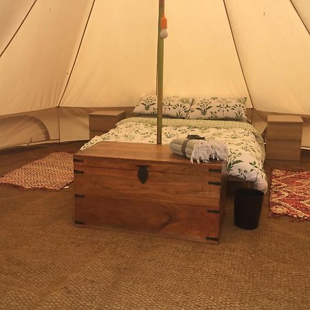 מלון גלוסטר Green Fields Glamping מראה חיצוני תמונה